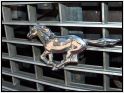 Ford Mustang - 1